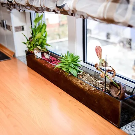 Ksenija アパート *